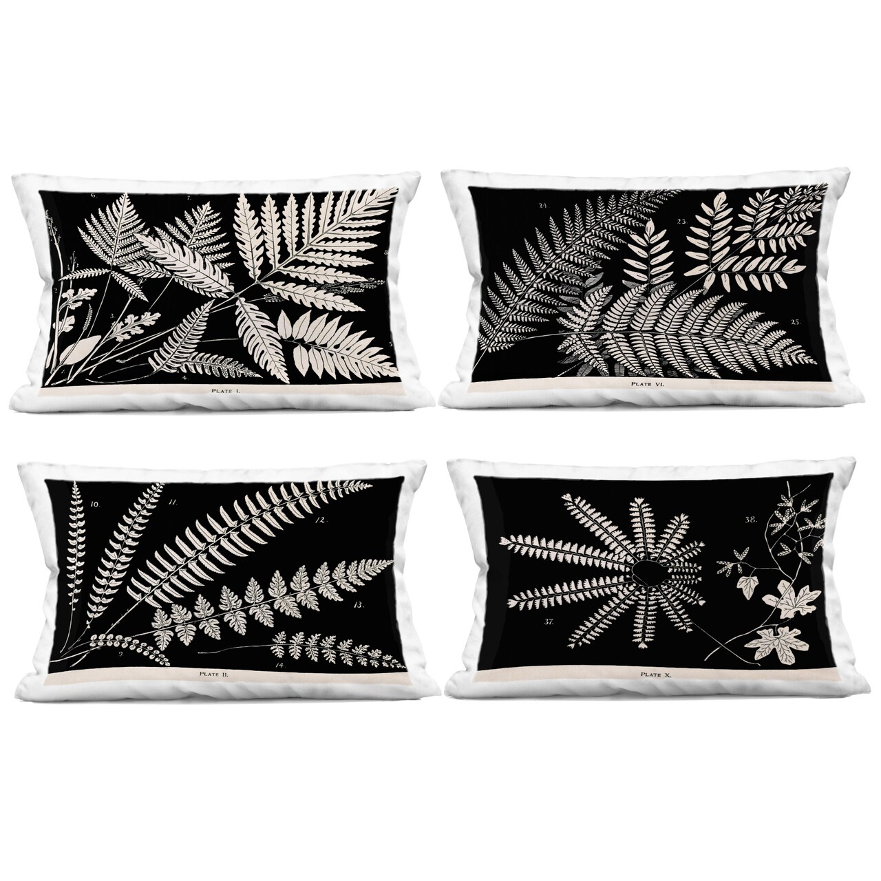Stupell Industries White Ferns on Black 4pc Decorative Printed Pillow Set design by Phillipa Katz, 14 x 7 x 20